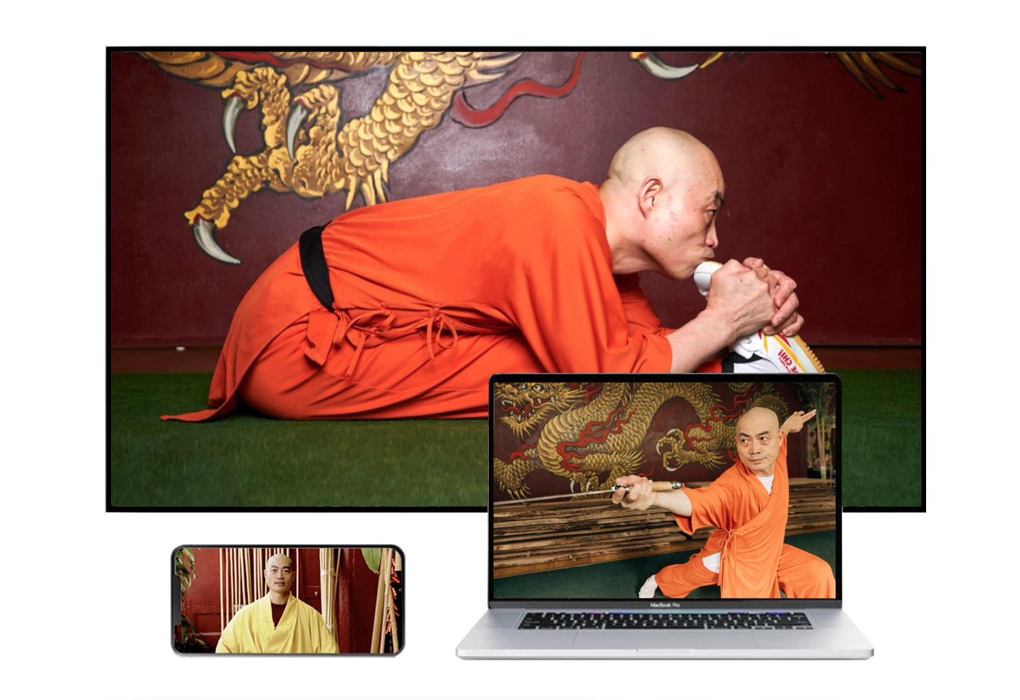 USA Shaolin Temple Online Courses | Learn Kung Fu &amp; Taichi